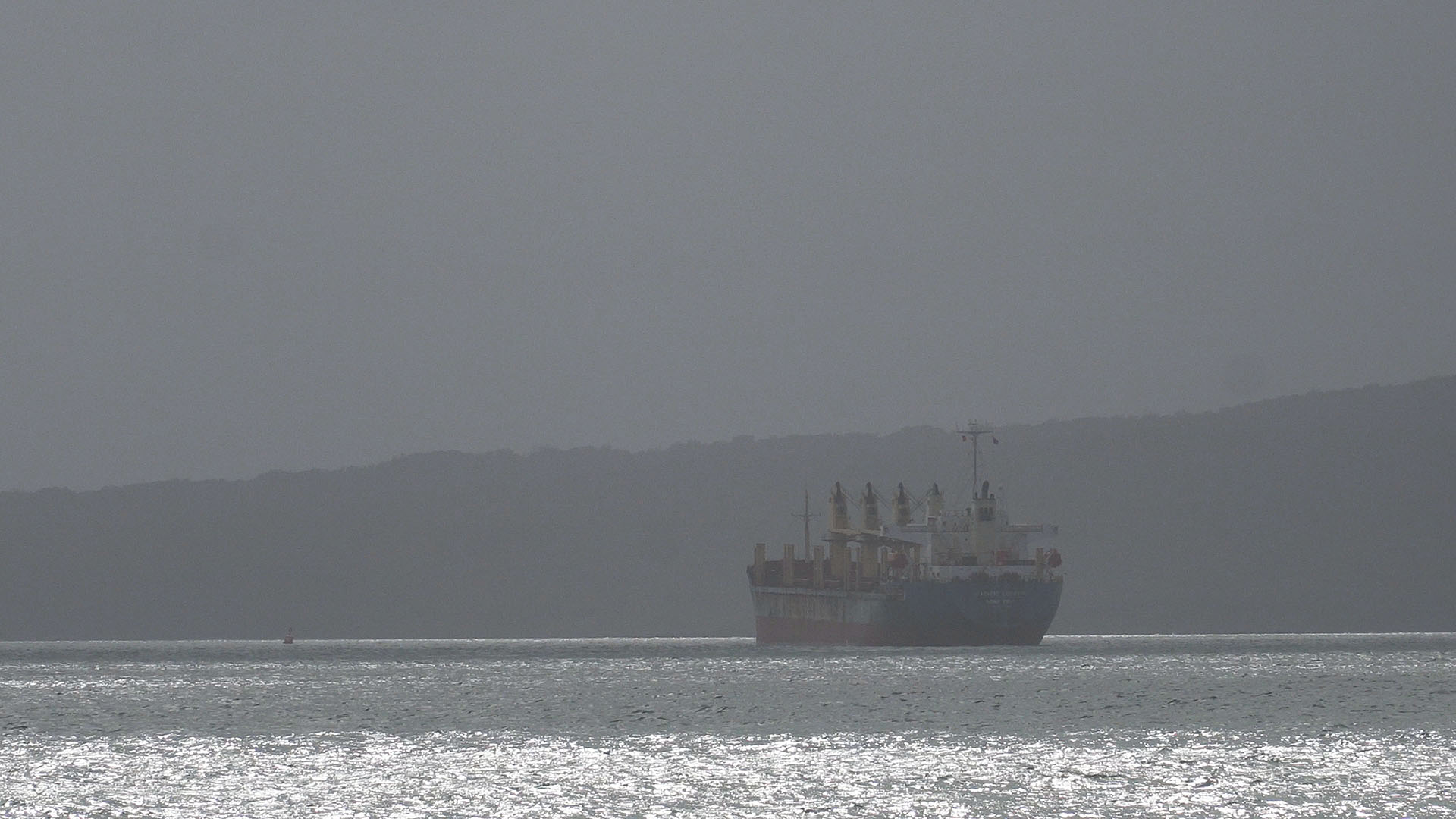 Pacific Logger